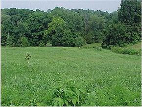 0 Bill Jones Road Jonesborough, TN 37659 - Photo 1 of 1 Photo 1