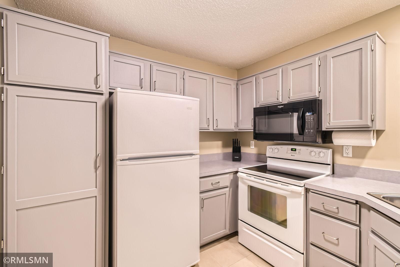 3557 Blue Jay Way, Unit 102 Eagan, MN 55123 - Photo 4 of 11