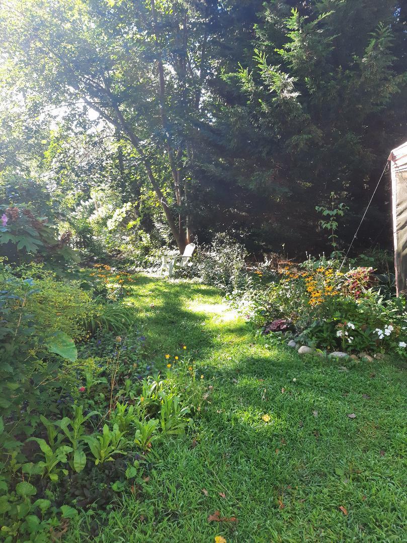 14 21st Street North Edgartown, MA 02539 - Photo 19 of 19 a view of a yard with plants and large trees