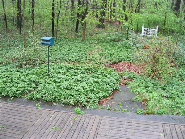 6 Pine Hill Road Danvers, MA 01923 - Photo 5 of 25 Gallery Image 5