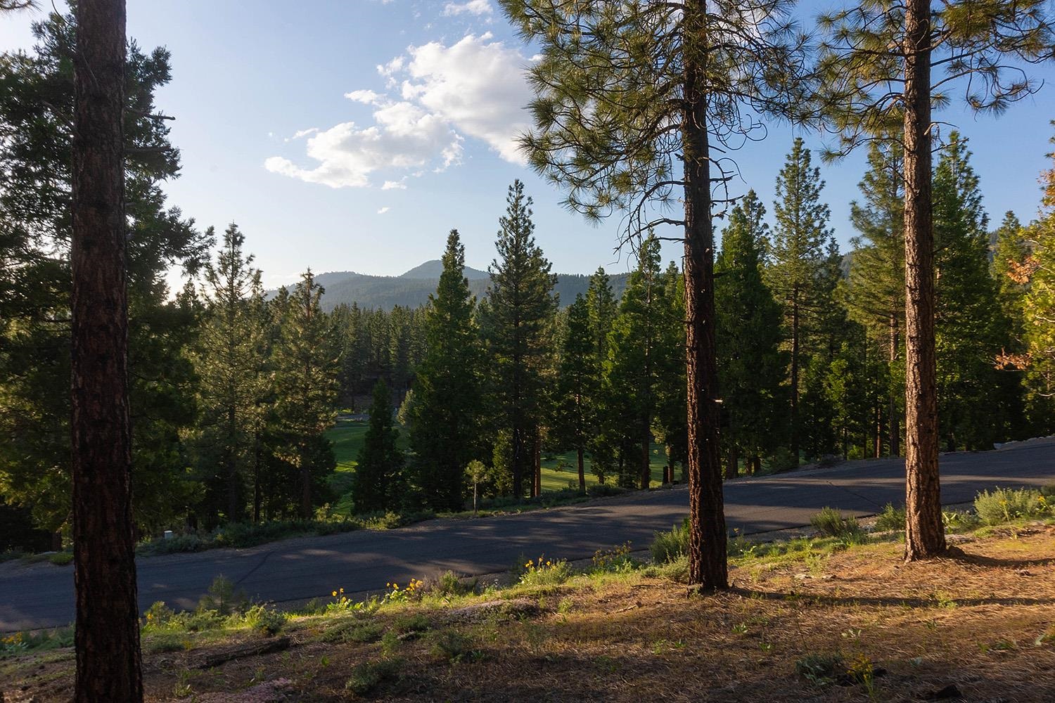 58 South Ridge Road Portola, CA 96122 - Photo 12 of 13 a view of a yard with mountain