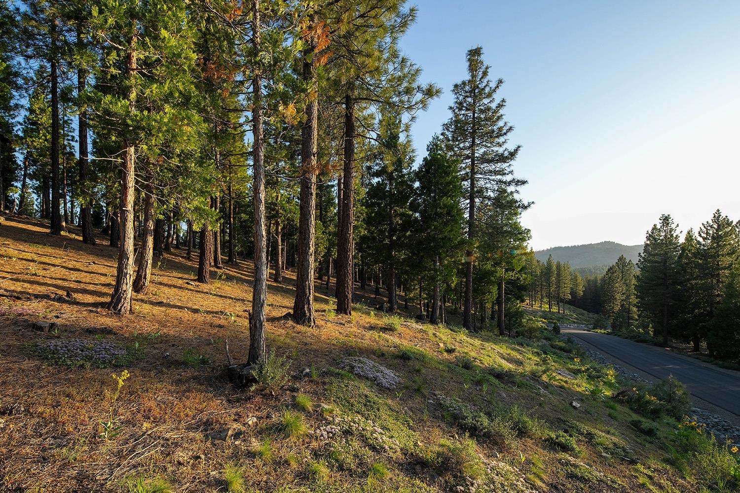 58 South Ridge Road Portola, CA 96122 - Photo 10 of 13 a view of a park