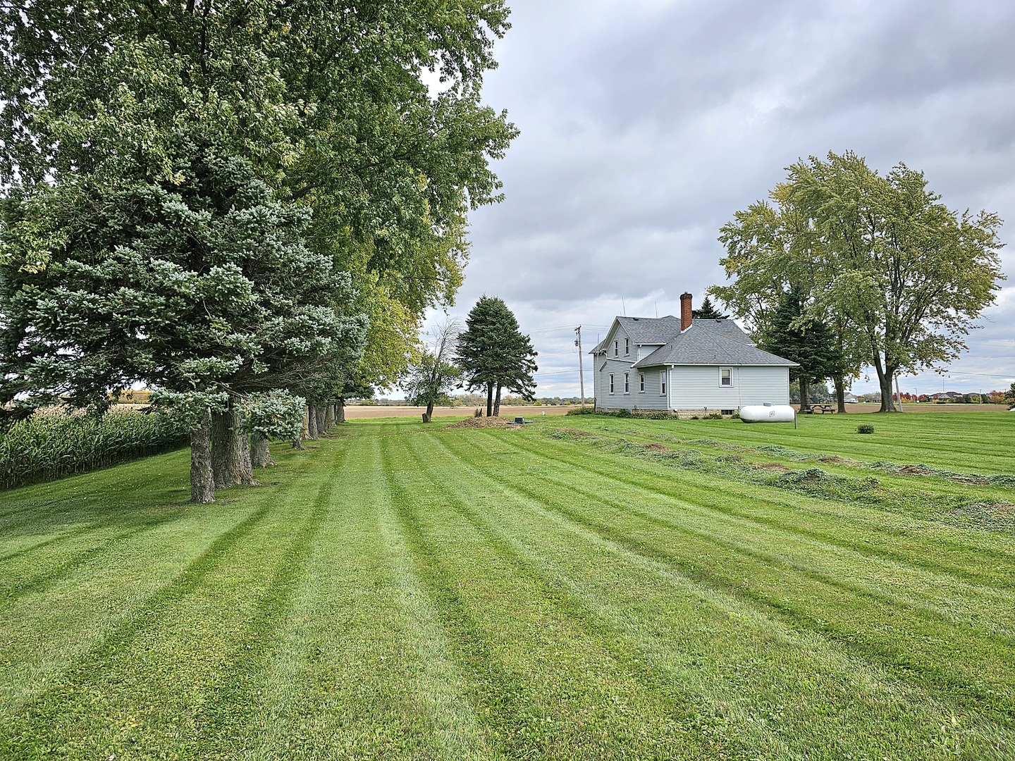 22132 Ridgeland Avenue Matteson, IL 60443 - Photo 9 of 11 a view of a house with a big yard