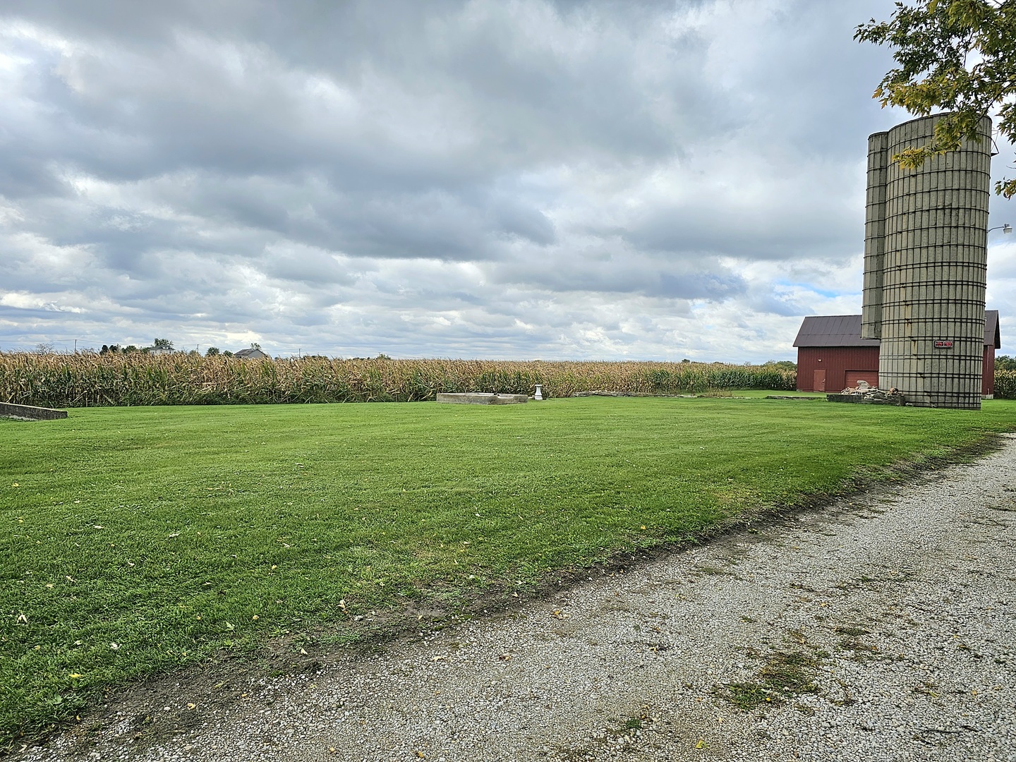 22132 Ridgeland Avenue Matteson, IL 60443 - Photo 10 of 11 a view of a big yard with potted plants and large tree