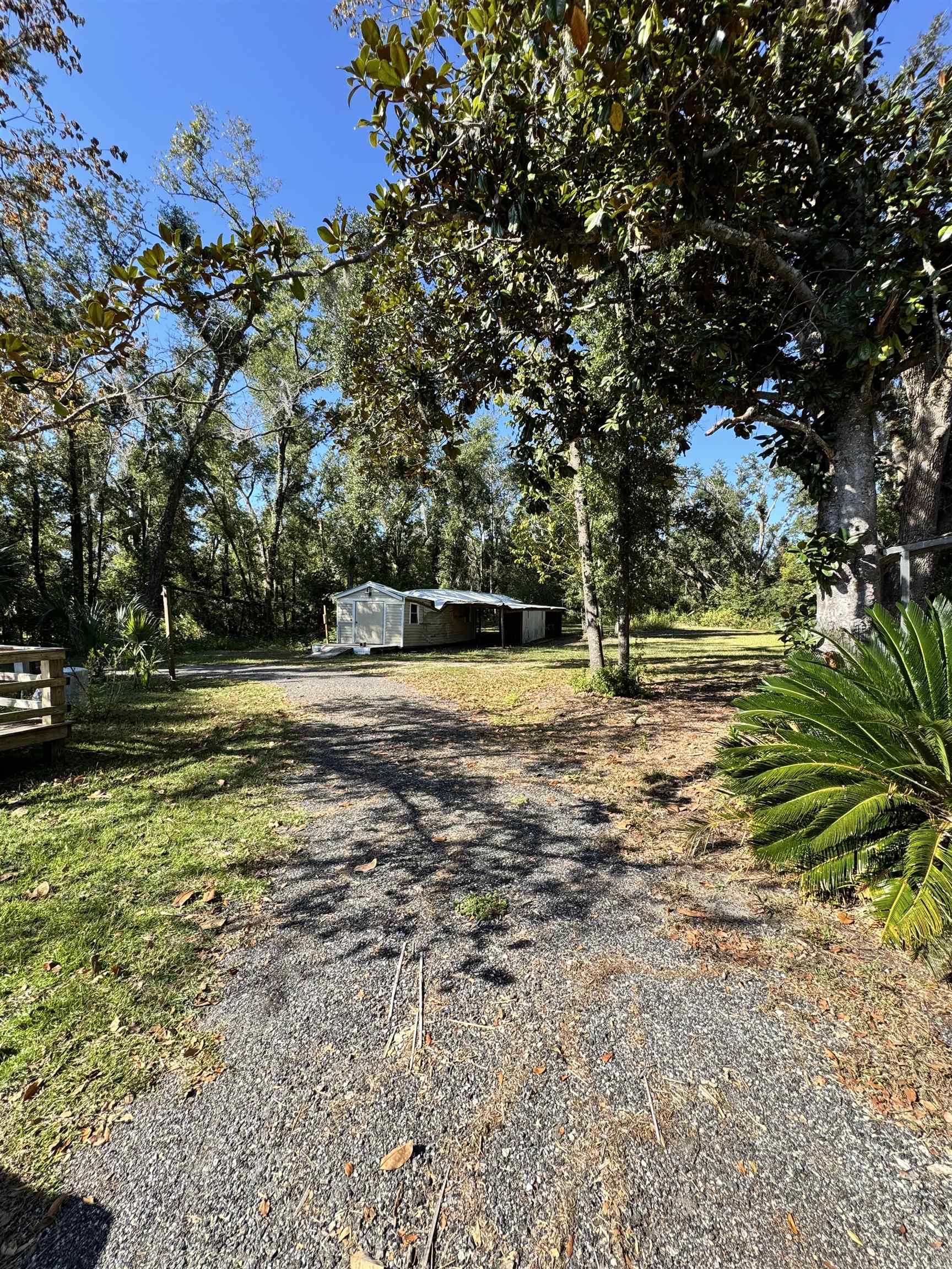 1407 North Springfield Street Perry, FL 32347 - Photo 3 of 16