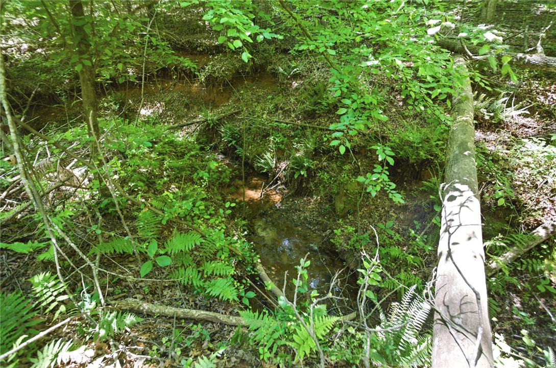 912 Watercrest Road West Union, SC 29696 - Photo 41 of 49 Discover a tranquil creek meandering through a lush, green forest.