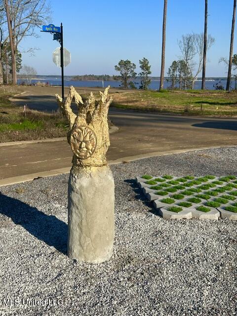 Lot 23 Neptune Shore Canton, MS 39046 - Photo 4 of 20 IMG_4315