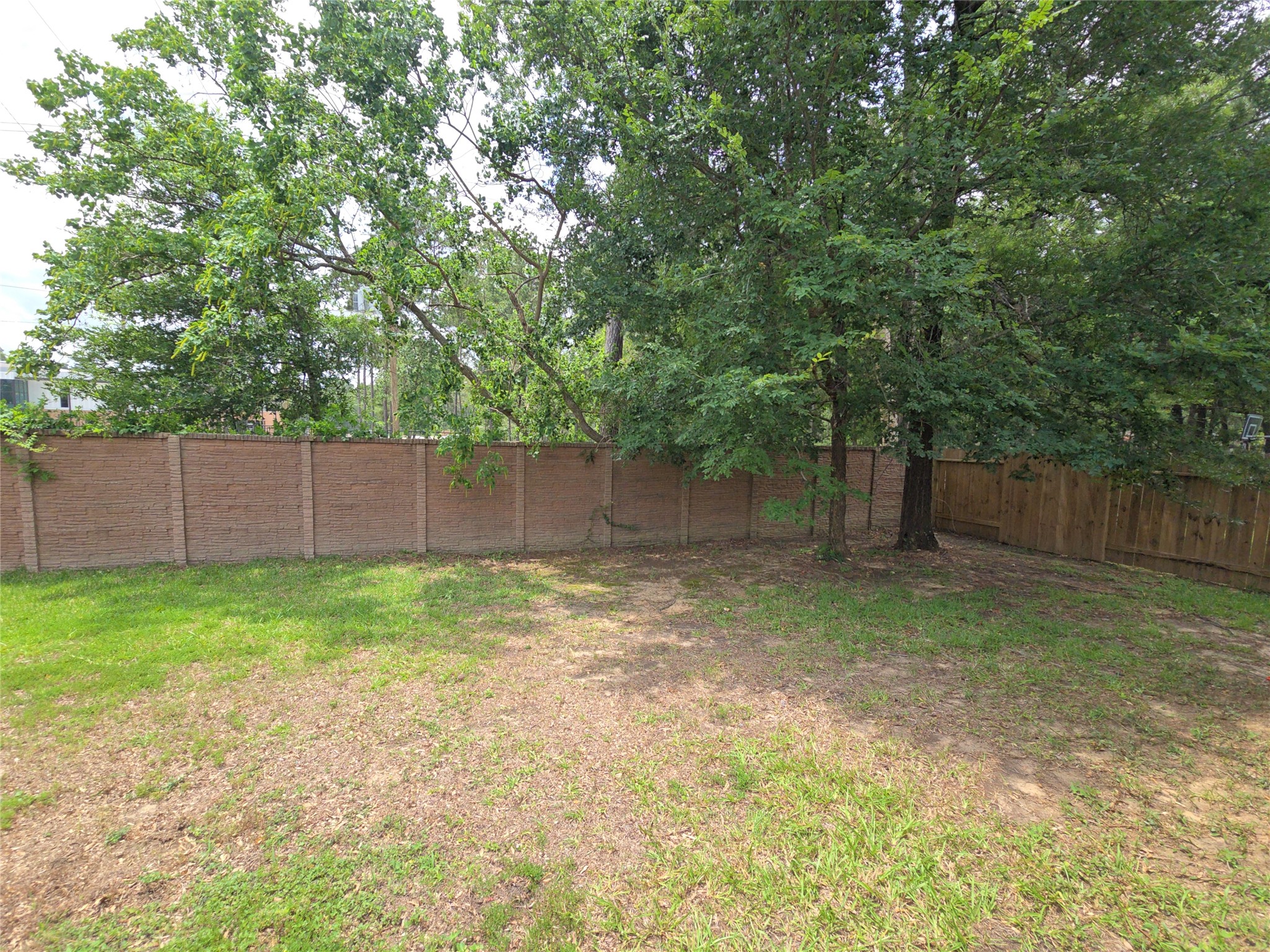 810 Lightningbug Lane Conroe, TX 77301 - Photo 25 of 27 a view of a backyard with large trees and wooden fence