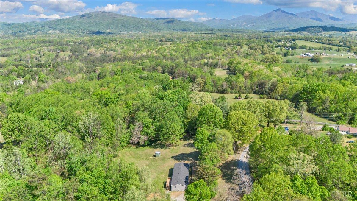 2781 Johnson School Road Thaxton, VA 24174 - Photo 61 of 63 a view of a lush green forest with trees and some houses