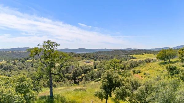 a view of a city with lush green forest