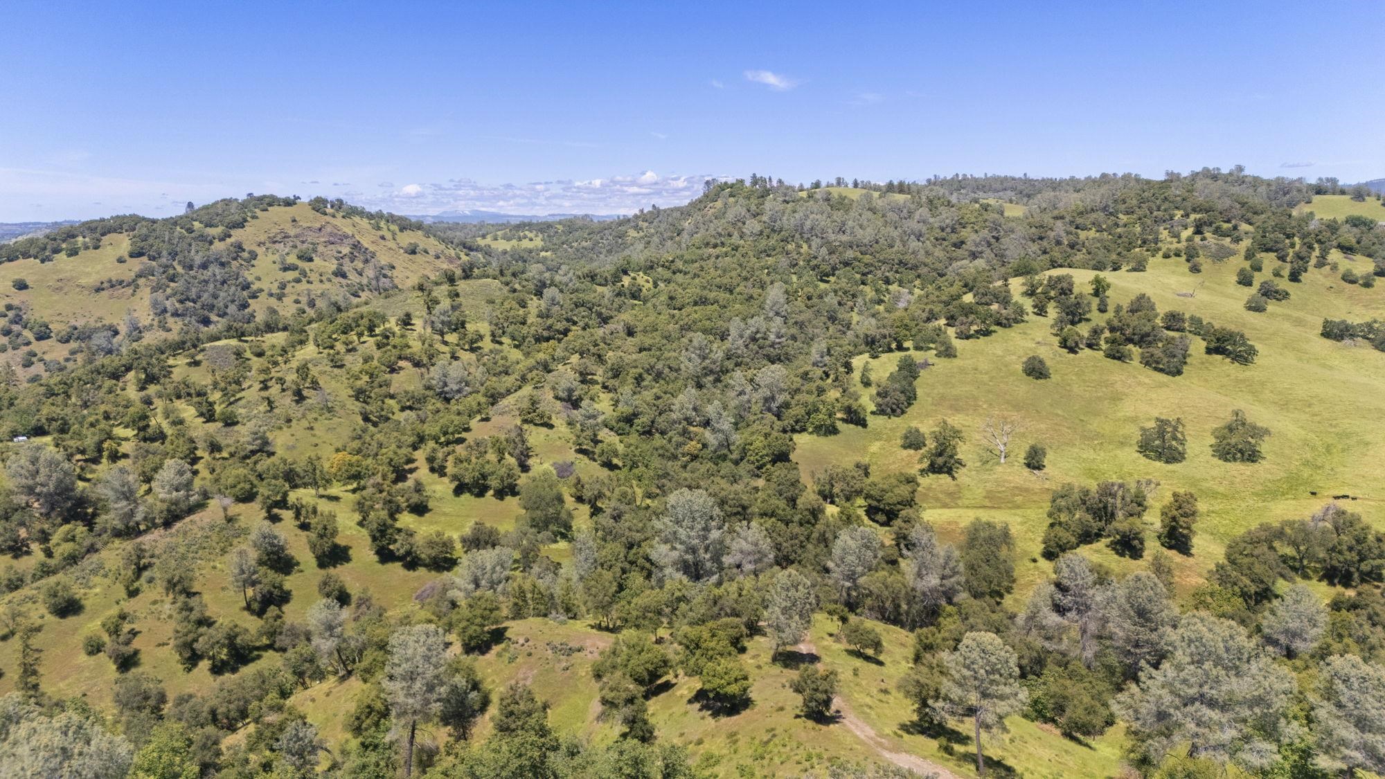 9082 Fraguero Road Sonora, CA 95370 - Photo 3 of 12 a view of a city