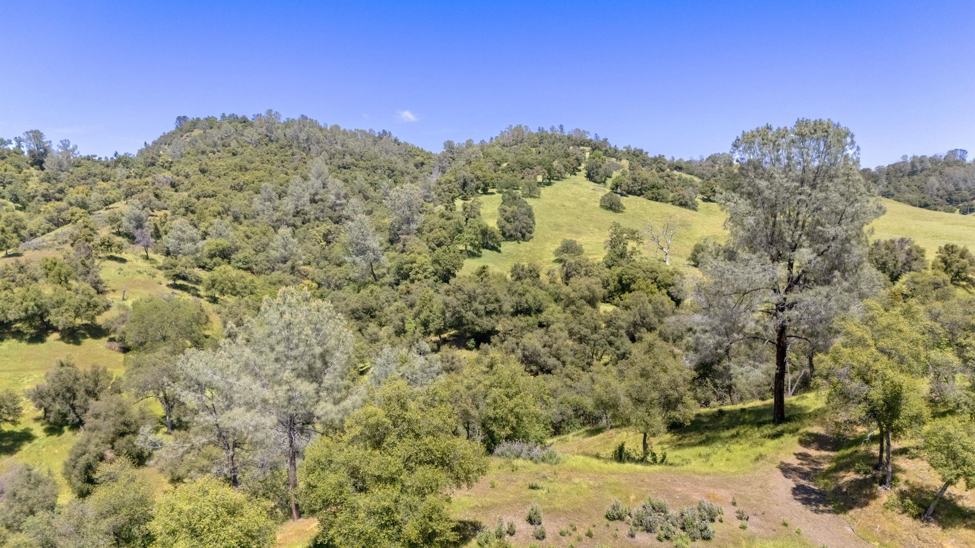 9082 Fraguero Road Sonora, CA 95370 - Photo 9 of 12 a view of a yard