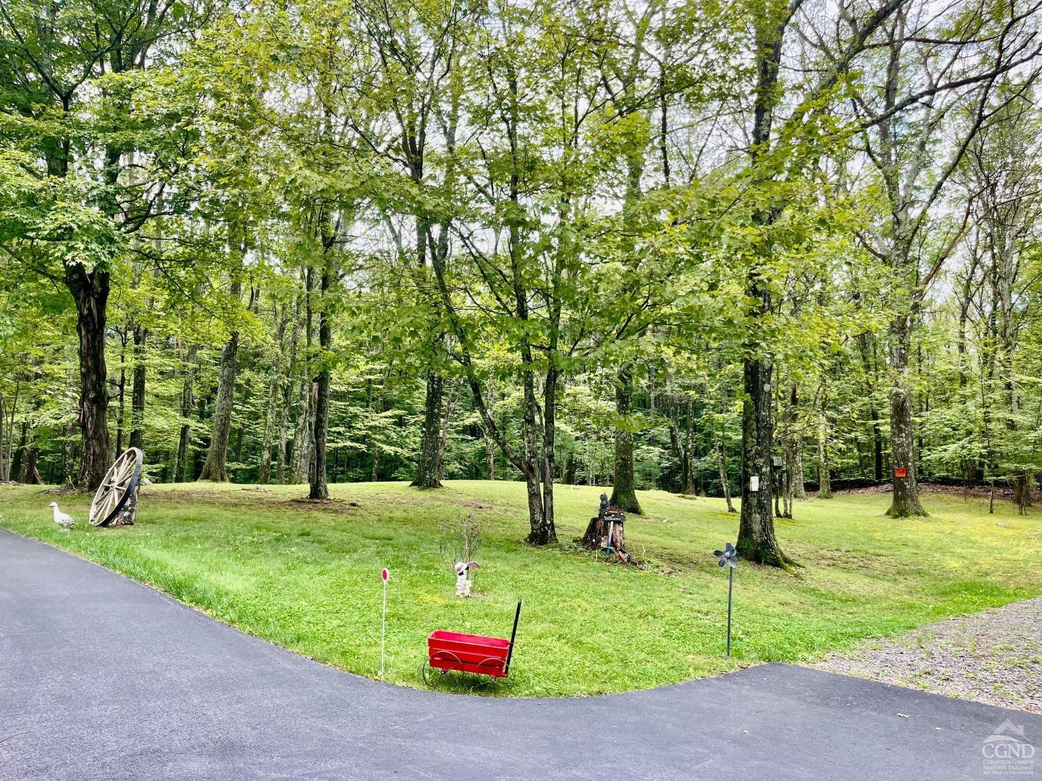 83 Ufferts Road Catskill, NY 12414 - Photo 21 of 29 a view of a park with large trees
