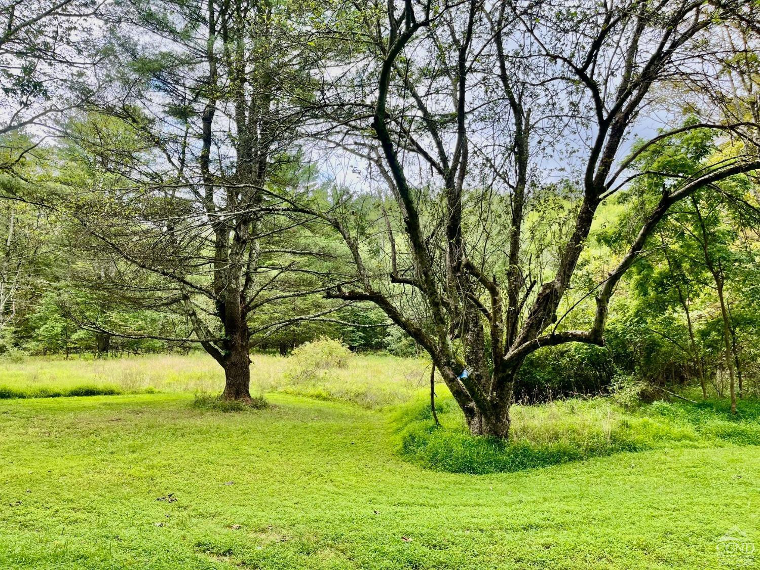 83 Ufferts Road Catskill, NY 12414 - Photo 28 of 29 a view of a yard with a tree