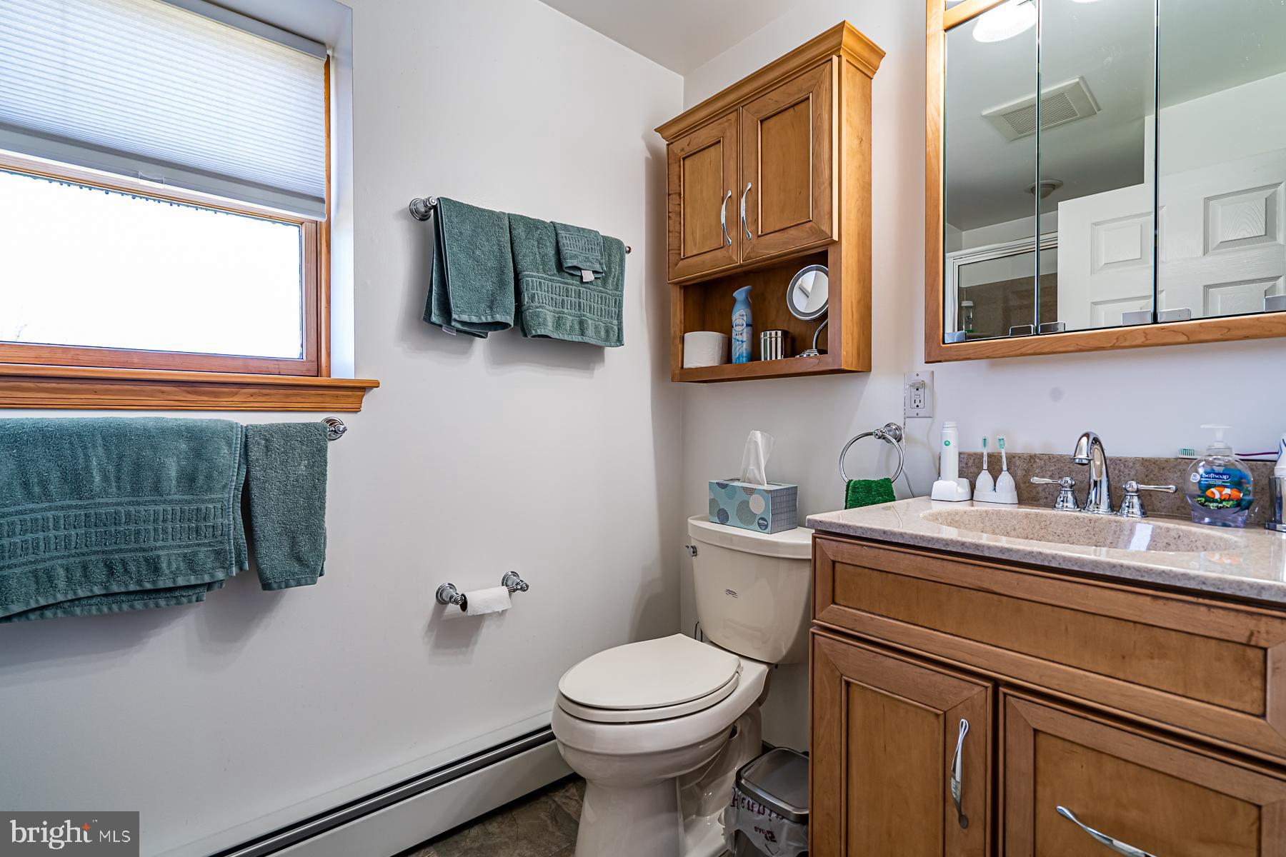 36 Elroy Road Souderton, PA 18964 - Photo 27 of 44 Master Bath