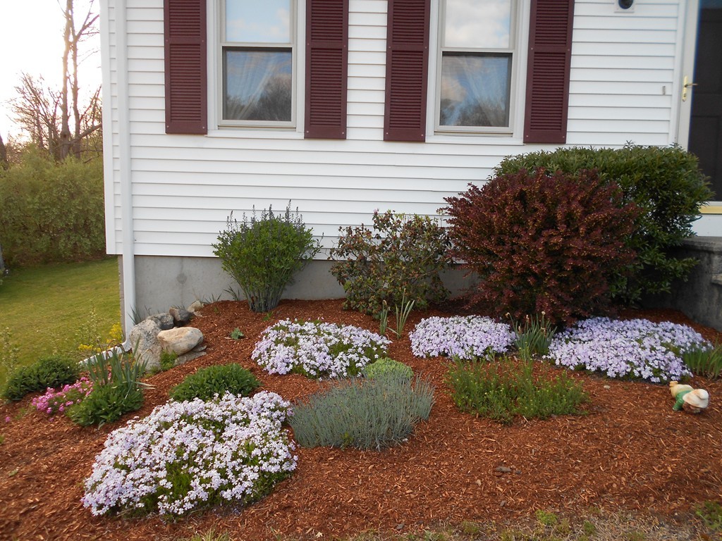 316 Spring Street Wrentham, MA 02093 - Photo 3 of 30 a front view of a house with a yard and street