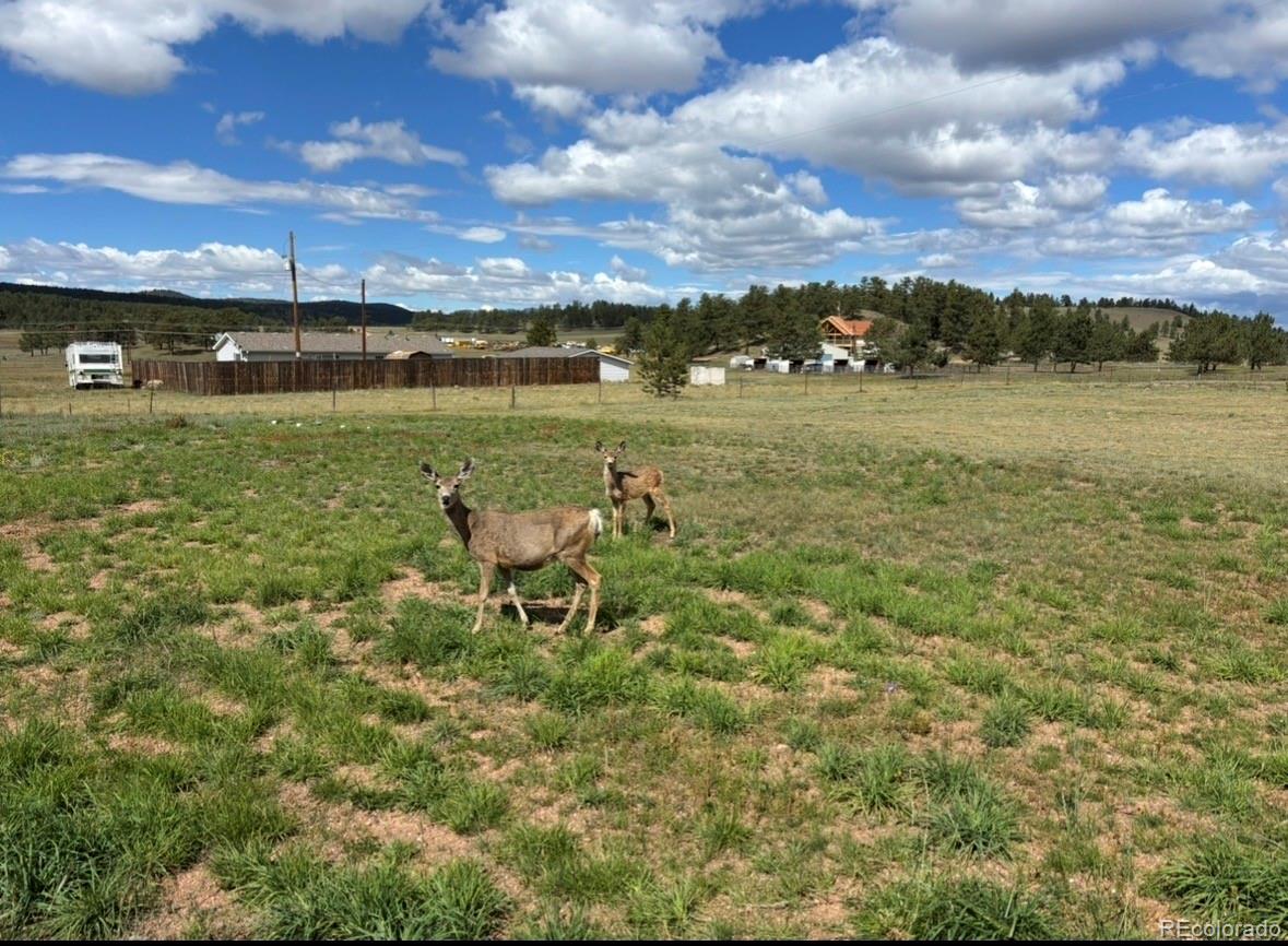 489 Duesouth Road Florissant, CO 80816 - Photo 42 of 45 a view of a lake with outdoor space