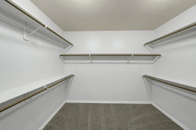 $2,500 | 3834 Echo Mountain Drive, Kingwood, TX 77345