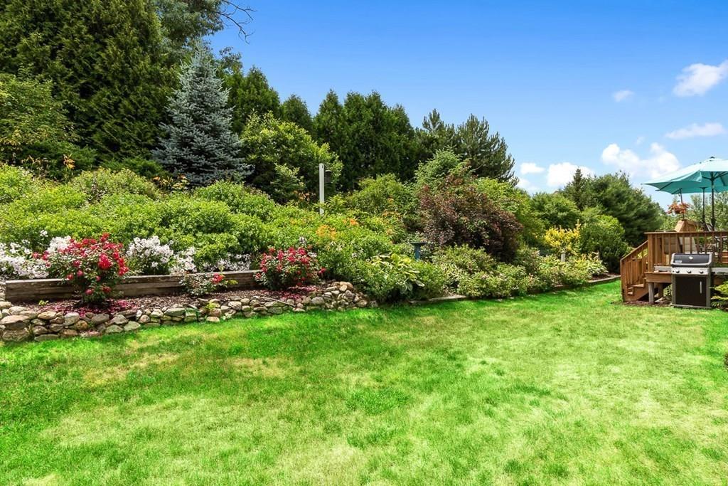 9 Bernard Road Rutland, MA 01543 - Photo 5 of 41 a view of a garden with plants and large trees