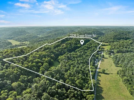 a view of a yard with a trees