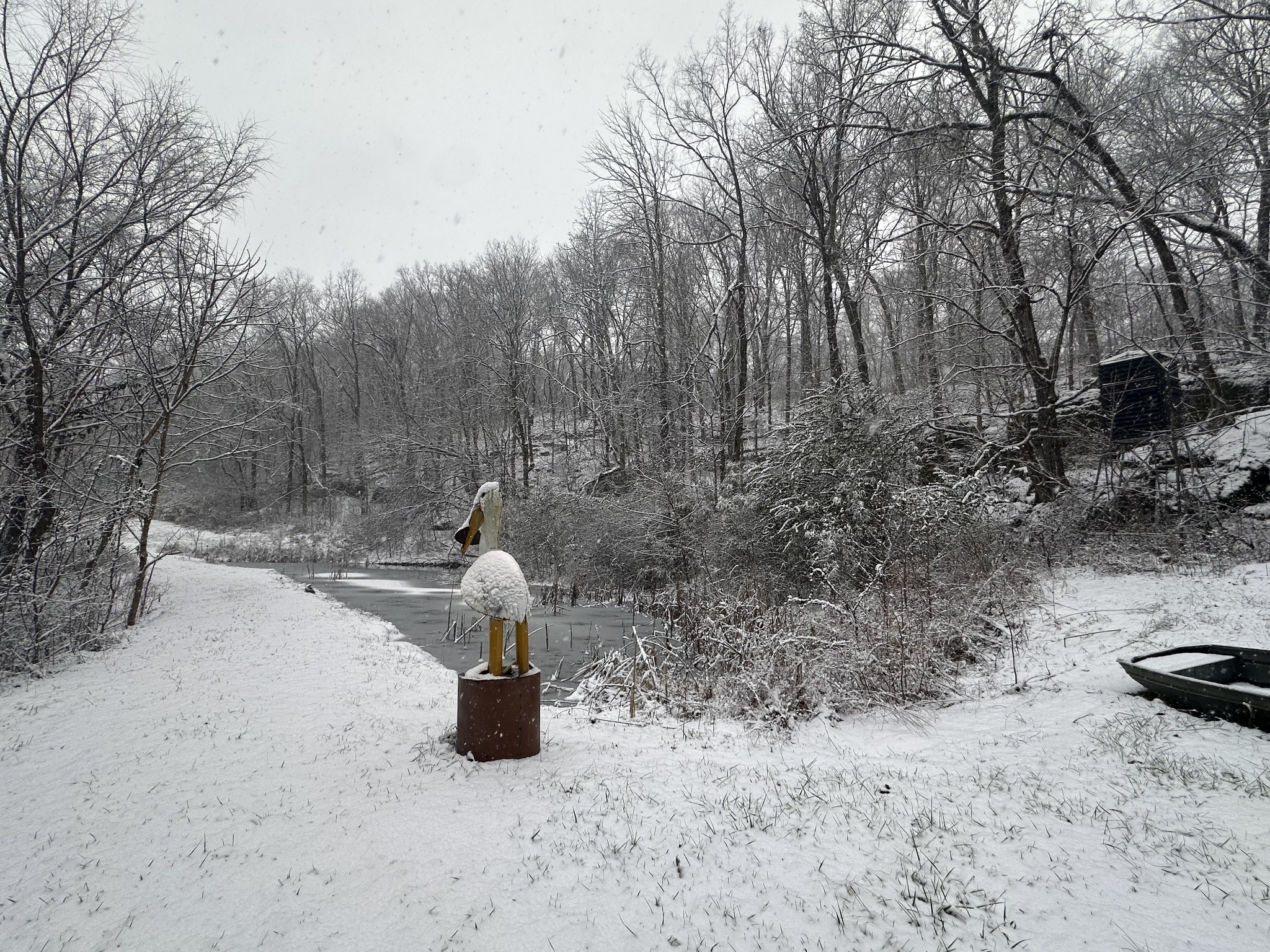3336 Green Grove Road Hartsville, TN 37074 - Photo 44 of 64 a view of swimming pool with a yard