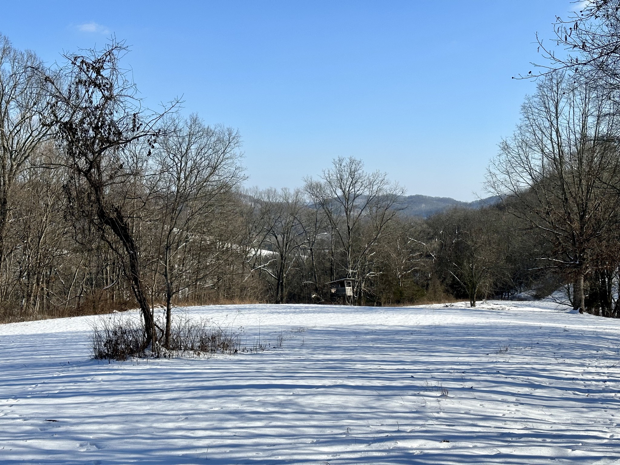 3336 Green Grove Road Hartsville, TN 37074 - Photo 47 of 64