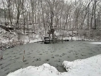 $649,900 | 3336 Green Grove Road, Hartsville, TN 37074