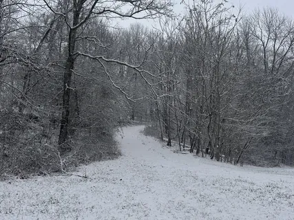 $649,900 | 3336 Green Grove Road, Hartsville, TN 37074