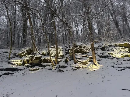 $649,900 | 3336 Green Grove Road, Hartsville, TN 37074