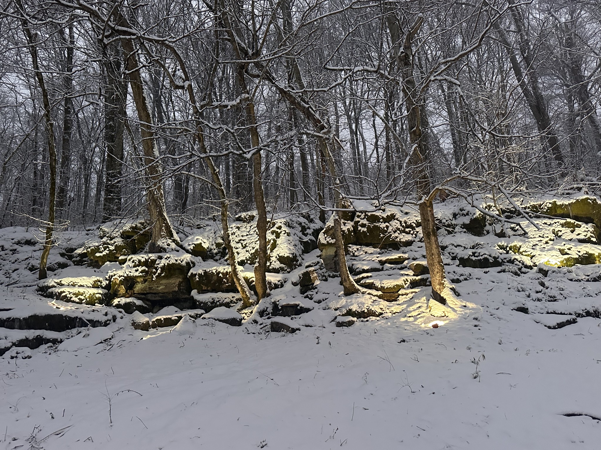 3336 Green Grove Road Hartsville, TN 37074 - Photo 56 of 64 a view of parked next to a road
