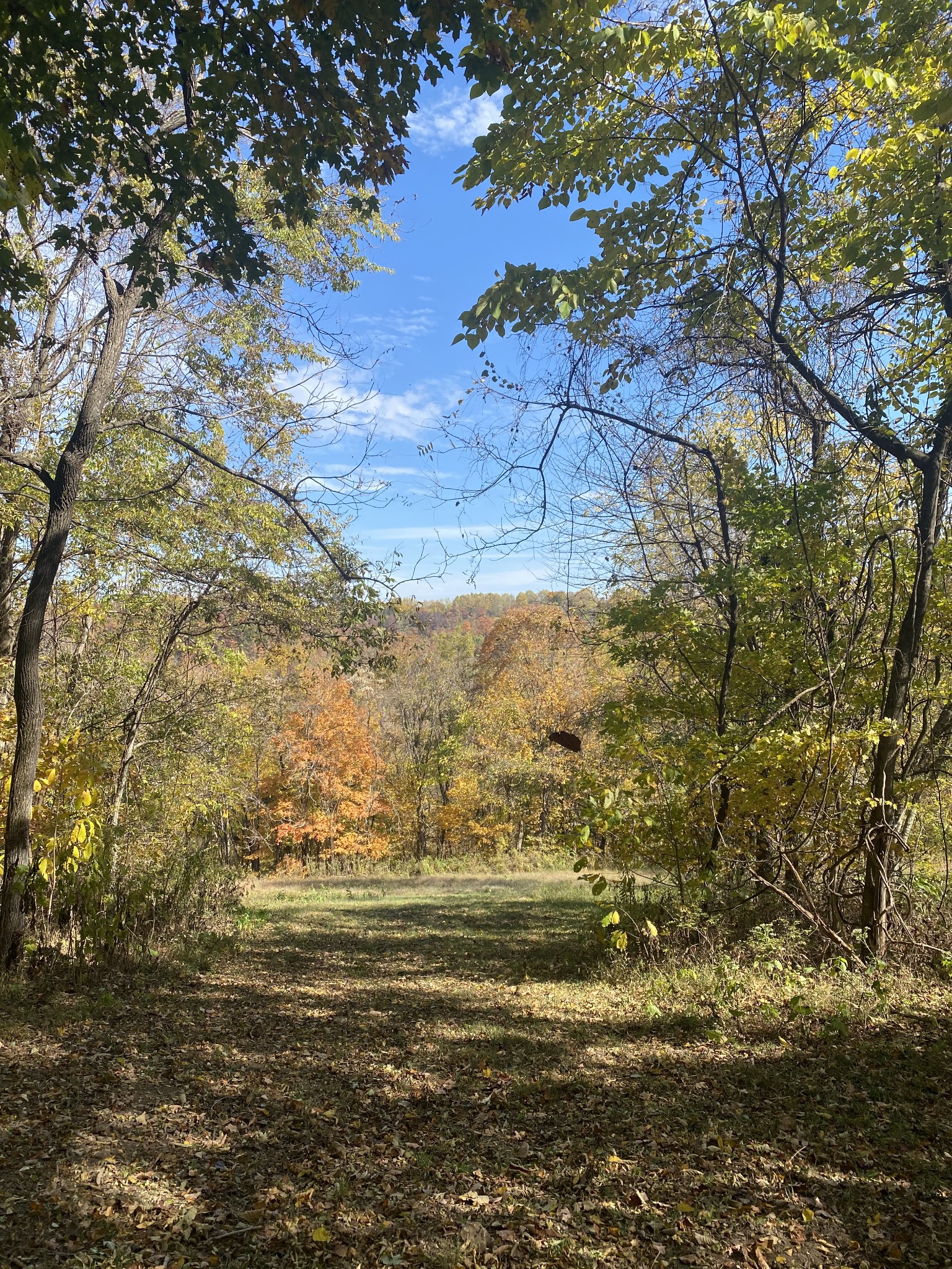 3336 Green Grove Road Hartsville, TN 37074 - Photo 61 of 64