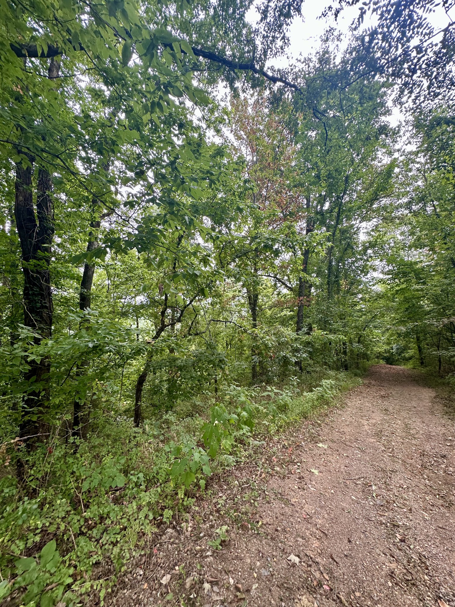 3336 Green Grove Road Hartsville, TN 37074 - Photo 64 of 64