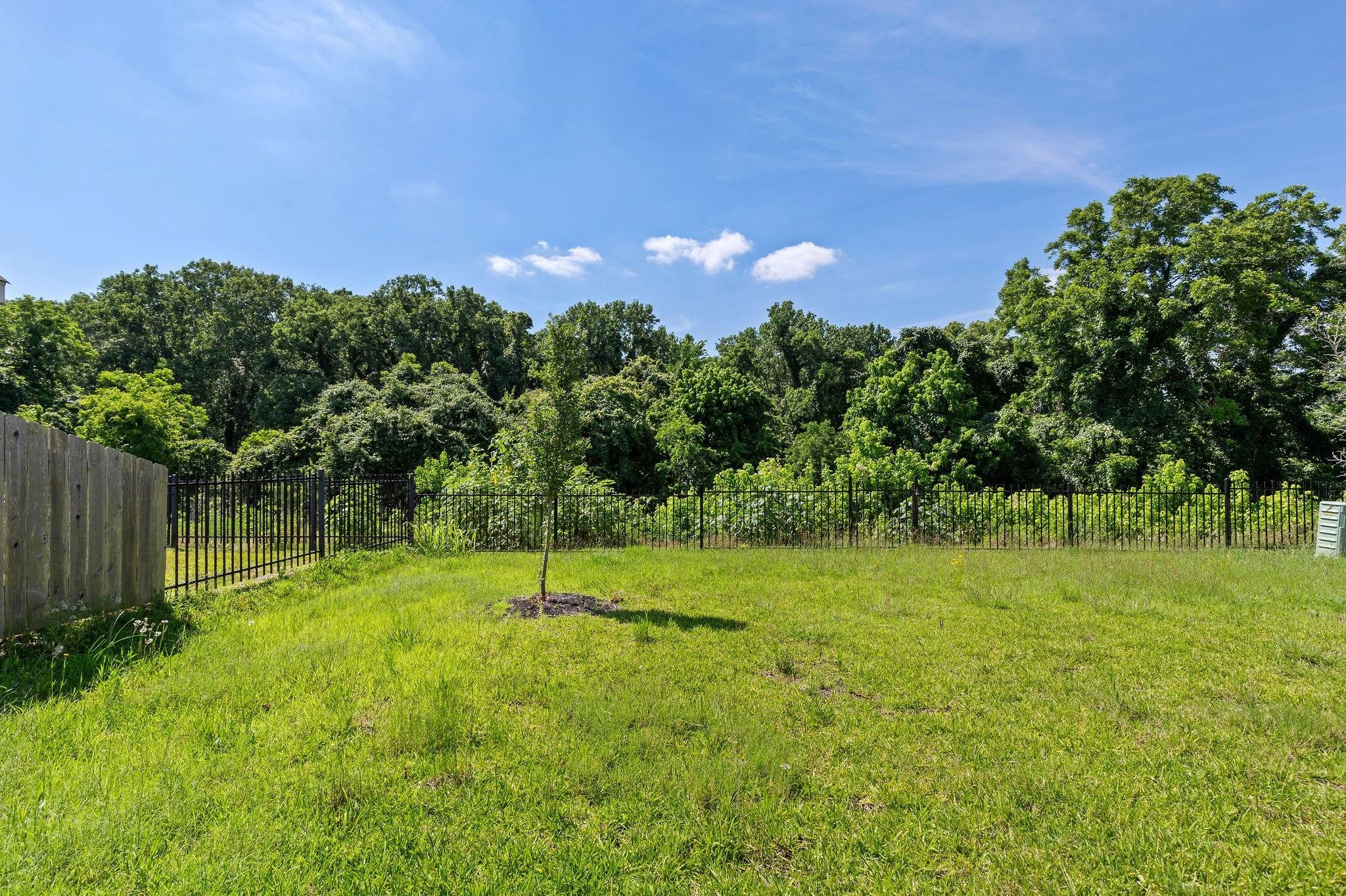 5319 Rivers Edge Drive Richmond, TX 77469 - Photo 23 of 23 a backyard of a house with lots of green space