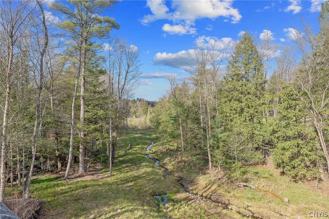 Marsh Road Cleveland, NY 13042 - Photo 15 of 29