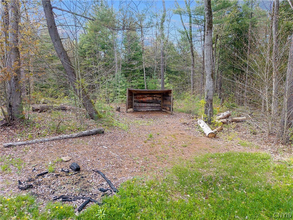 Marsh Road Cleveland, NY 13042 - Photo 18 of 29