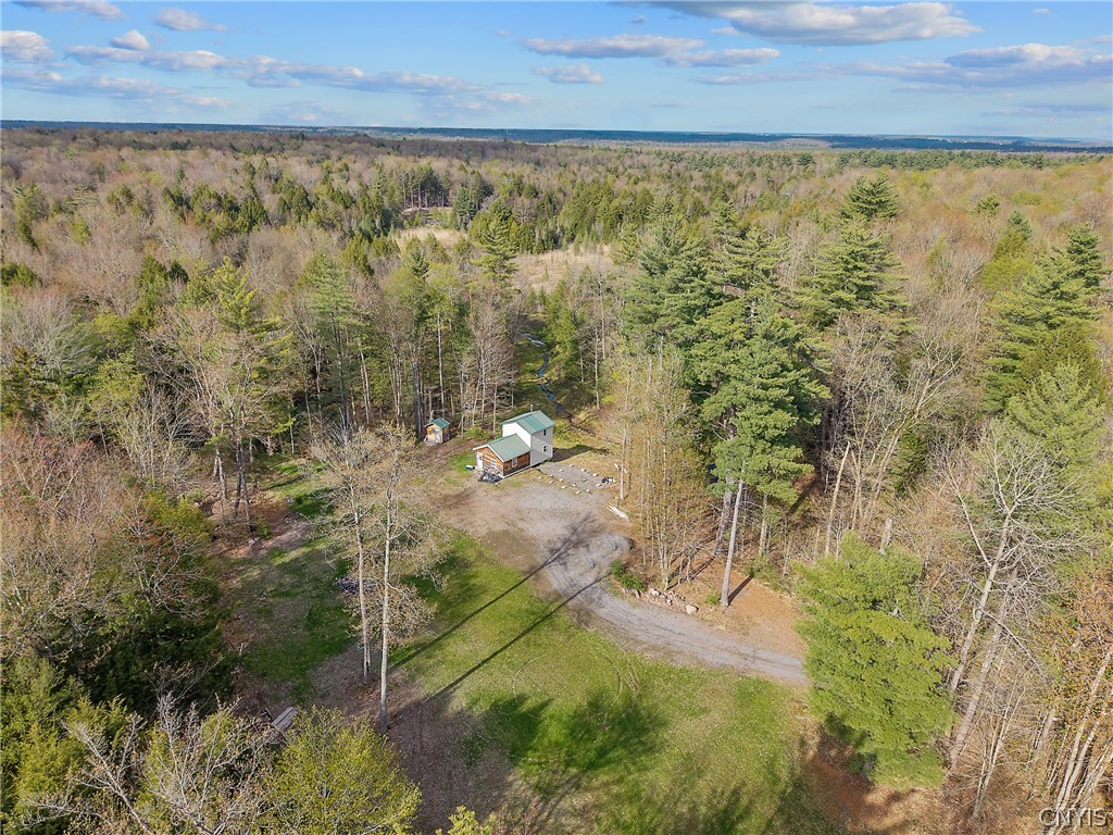 Marsh Road Cleveland, NY 13042 - Photo 23 of 29