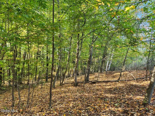 $179,900 | L4 Coot Hill Road, Argyle, NY 12809