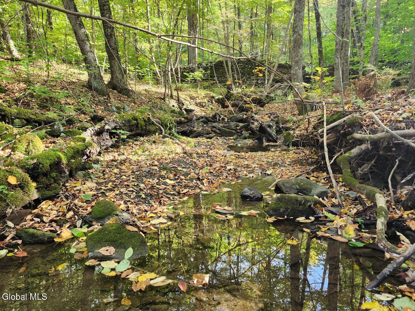 L4 Coot Hill Road Argyle, NY 12809 - Photo 13 of 18 20251002_154850