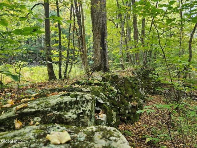 $179,900 | L4 Coot Hill Road, Argyle, NY 12809