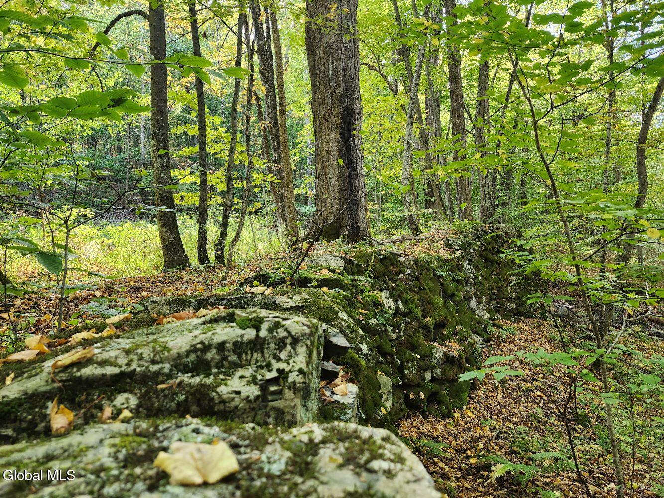 L4 Coot Hill Road Argyle, NY 12809 - Photo 17 of 18 20251002_155156