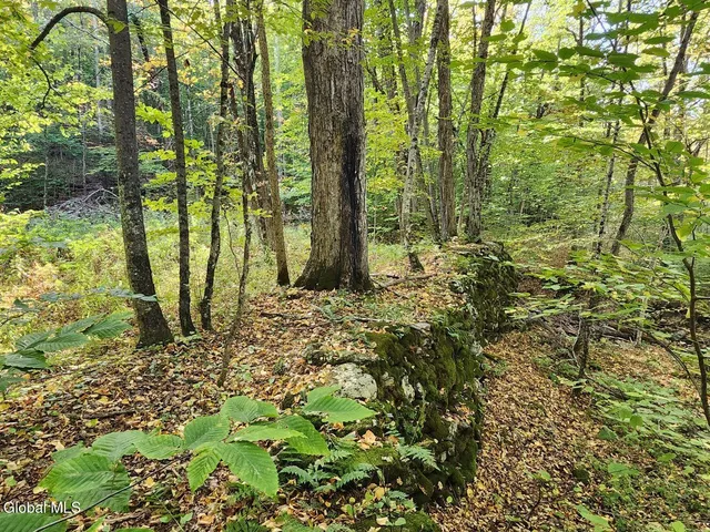 $179,900 | L4 Coot Hill Road, Argyle, NY 12809