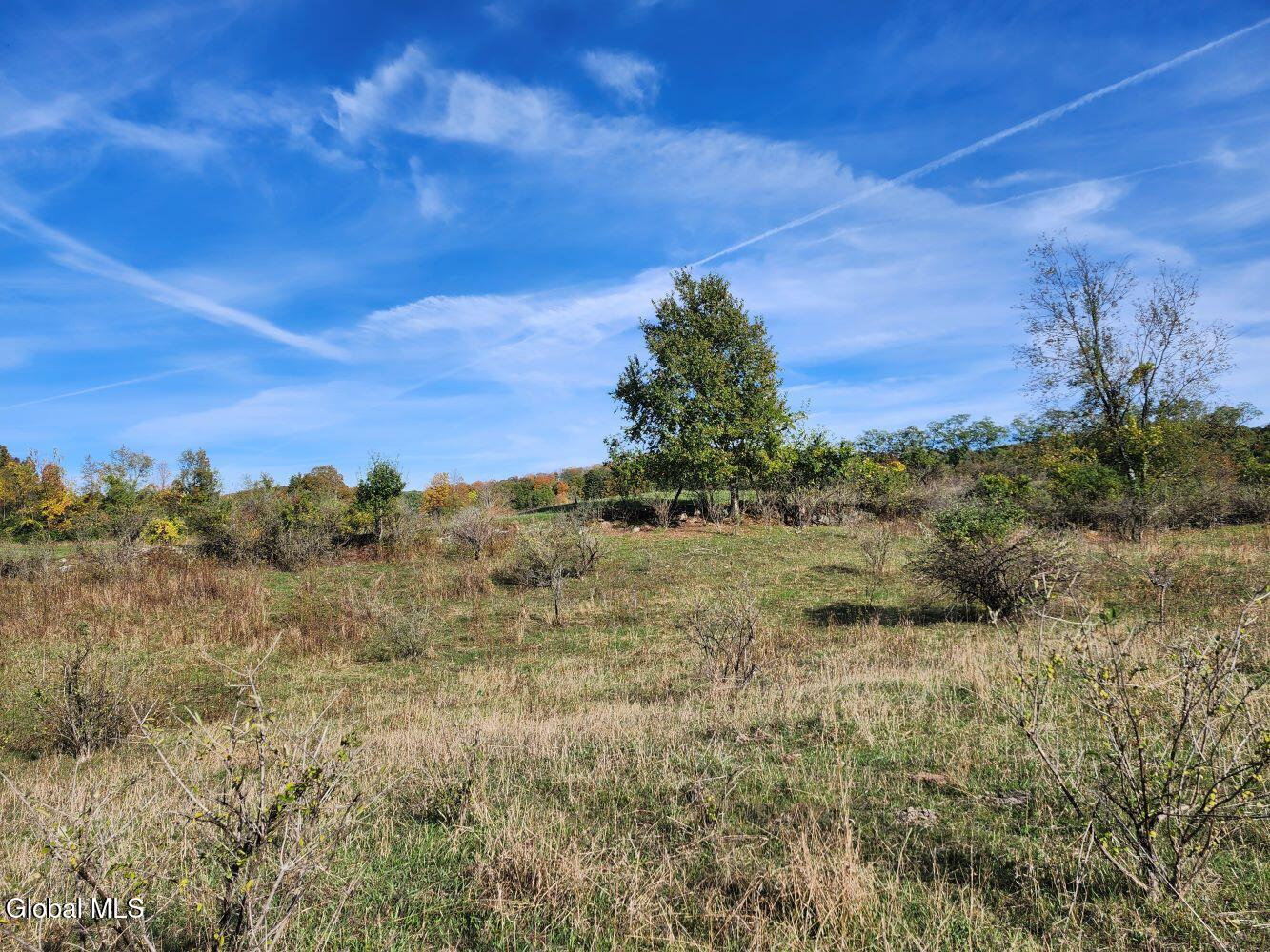 L4 Coot Hill Road Argyle, NY 12809 - Photo 8 of 18 20251002_153429