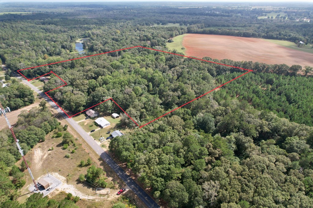 0 JB Chapman Road Midland City, AL 36350 - Photo 5 of 9