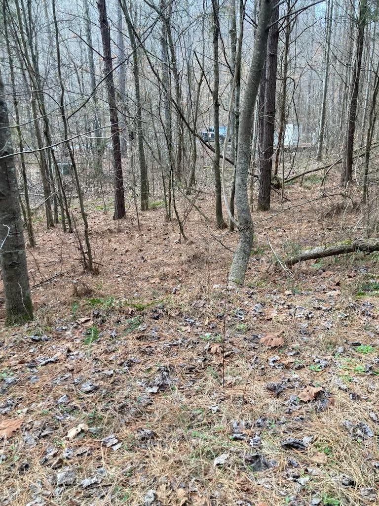 1415 Sloans Gap Road Ocoee, TN 37361 - Photo 8 of 13 Gallery Image 8