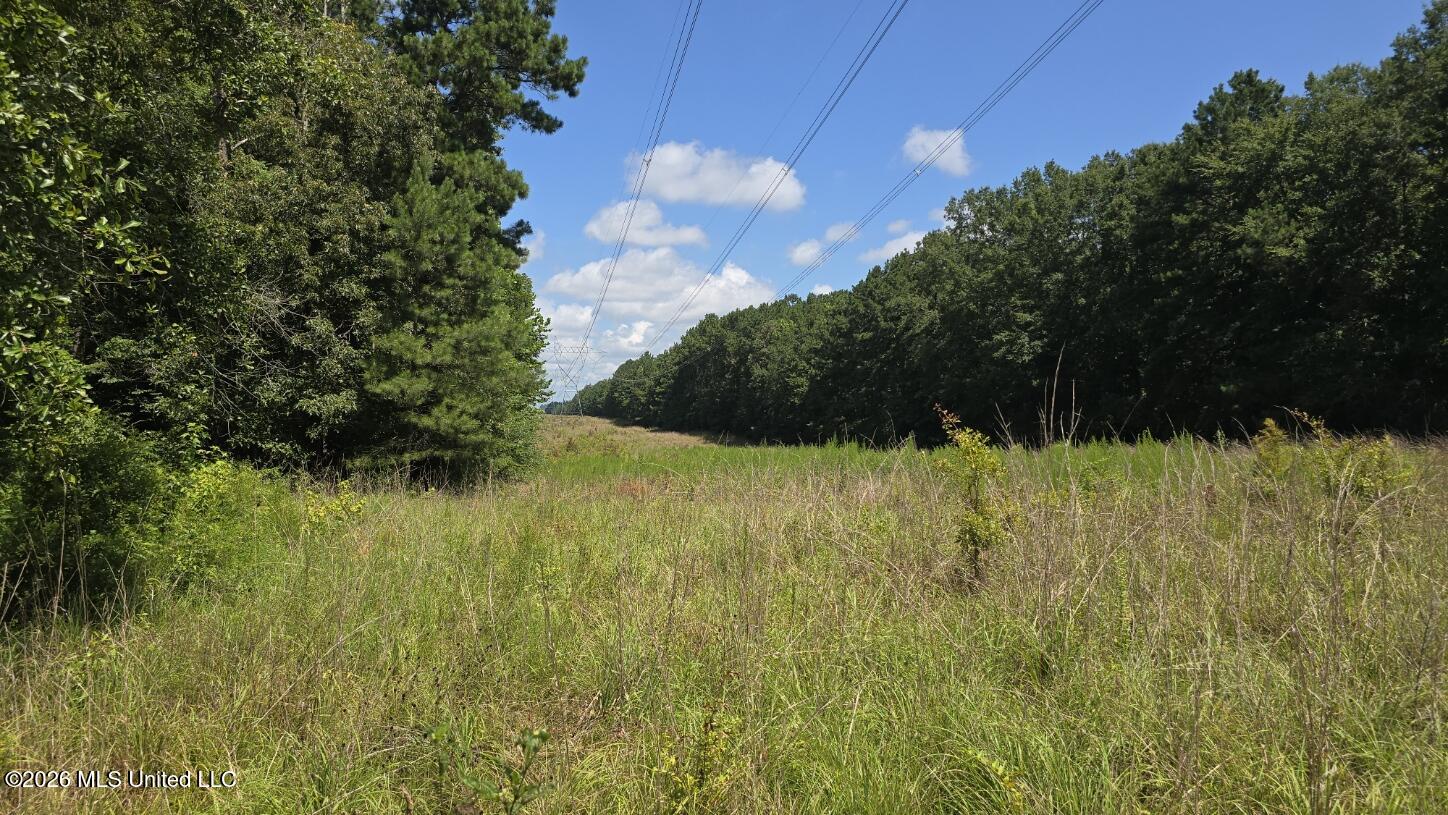 3995 Choctaw Road Brookhaven, MS 39601 - Photo 12 of 73 20260709_112559