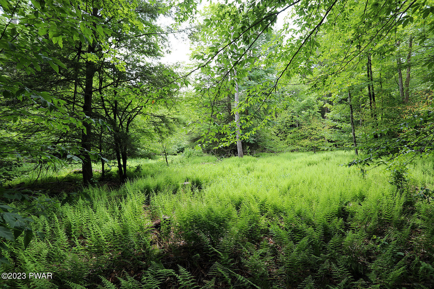 Lot D Spry Road Honesdale, PA 18431 - Photo 4 of 26