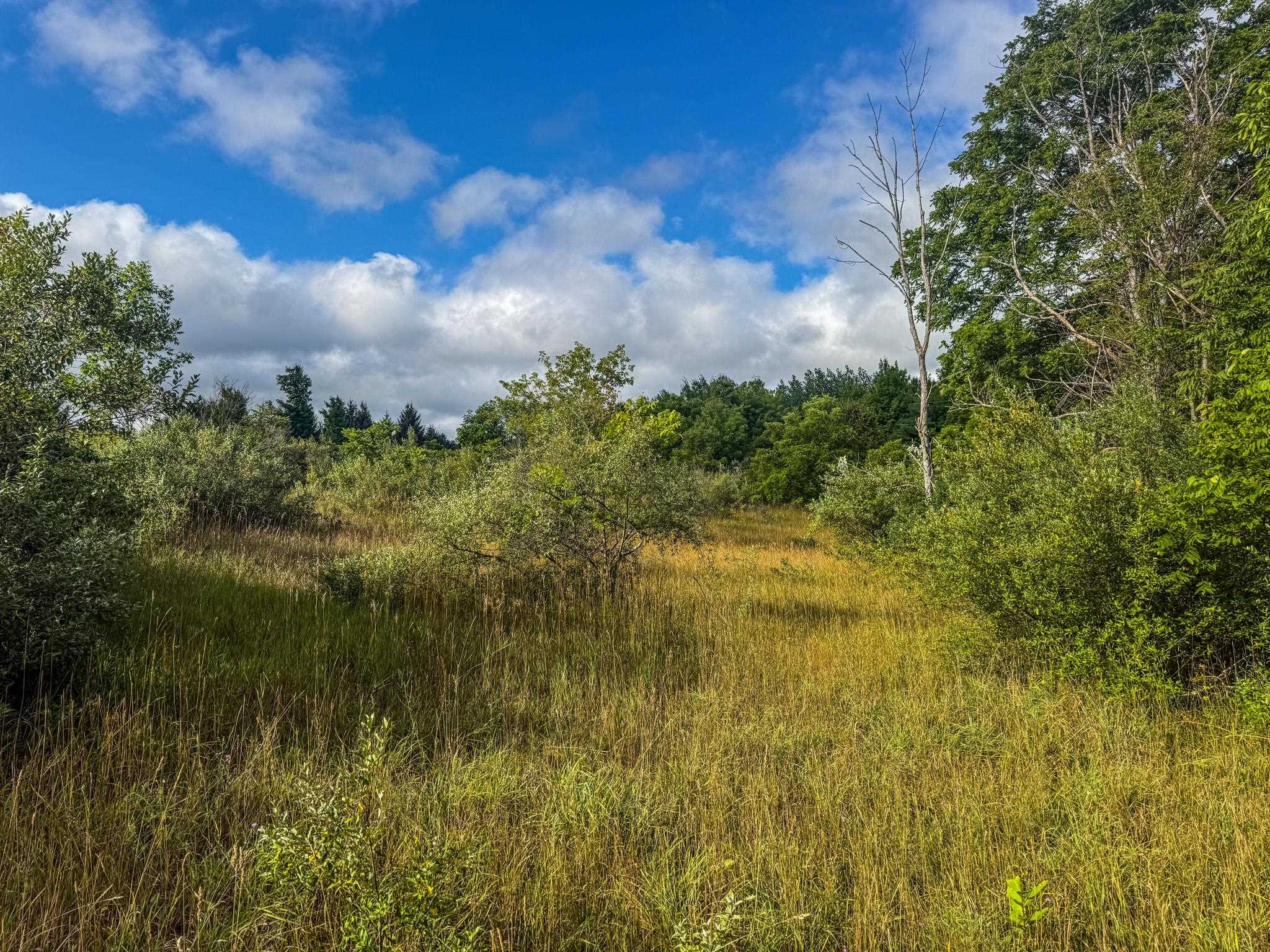 4 East Darga Road Cedar, MI 49621 - Photo 17 of 22 1949894-253a0e2c-3c6a-43f1-9aa7-1aa99d3eb409.JPG