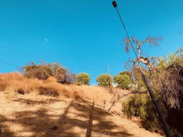 a view of a large tree with a yard