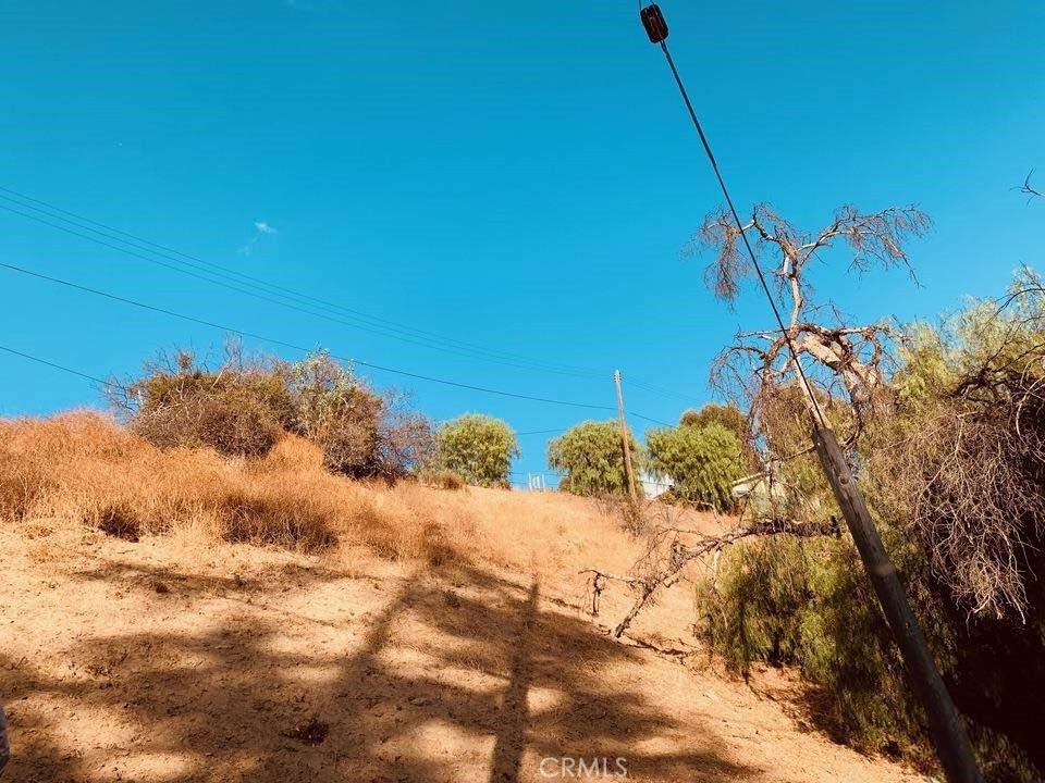 20927 Calimali Road Woodland Hills, CA 91364 - Photo 2 of 6 a view of a large tree with a yard