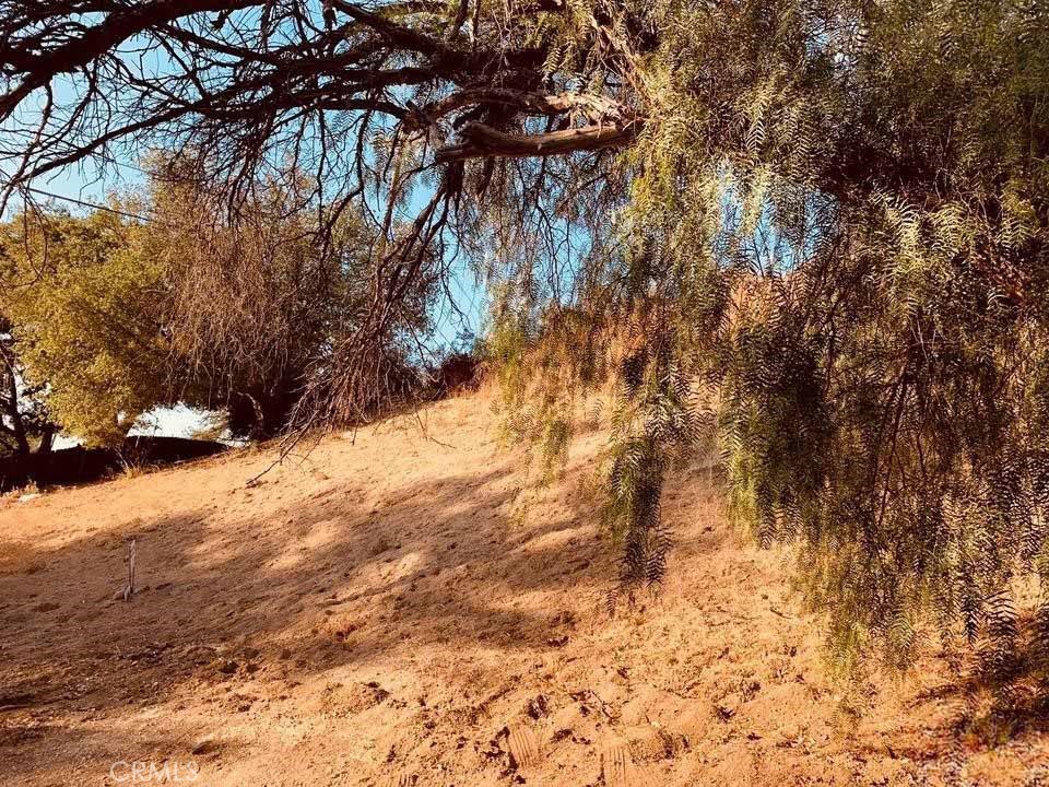 20927 Calimali Road Woodland Hills, CA 91364 - Photo 4 of 6 a view of empty yard with large trees